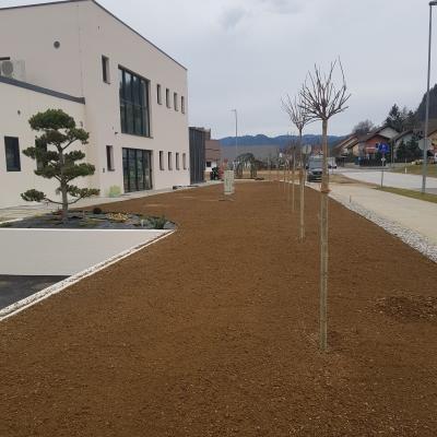 Trate Travni Tepihi 01