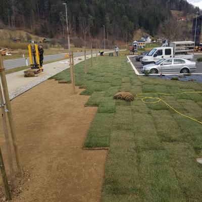 Trate Travni Tepihi 02