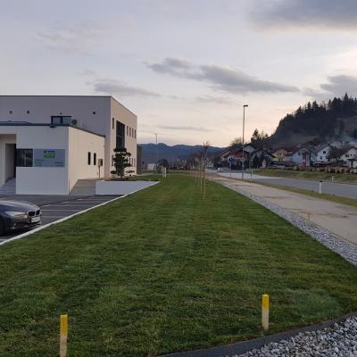 Trate Travni Tepihi 05