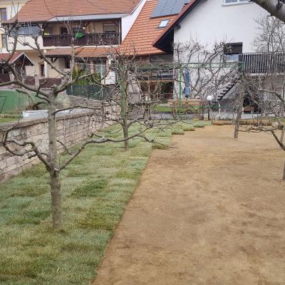 Trate Travni Tepihi 06