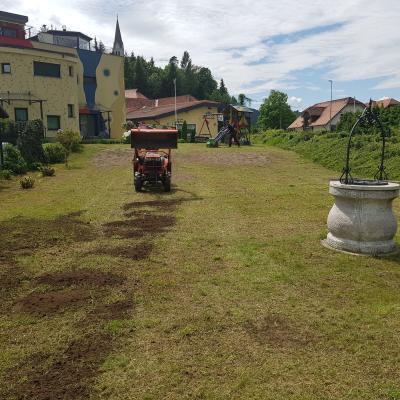 Trate Travni Tepihi 07