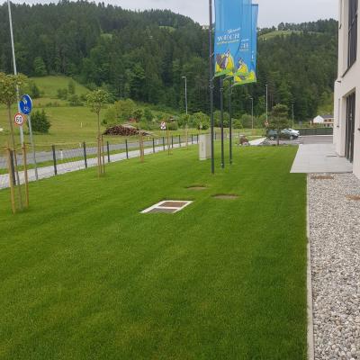 Trate Travni Tepihi 09