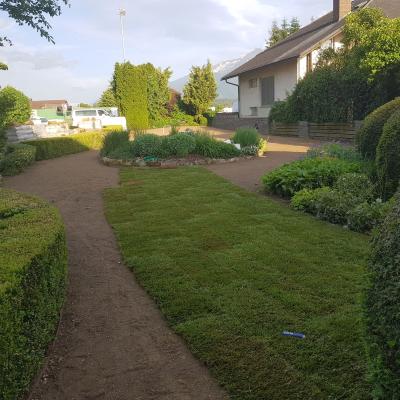 Trate Travni Tepihi 10