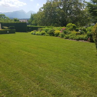 Trate Travni Tepihi 12