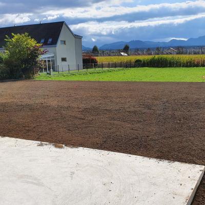 Trate Travni Tepihi 14