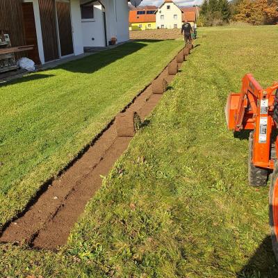 Trate Travni Tepihi 15