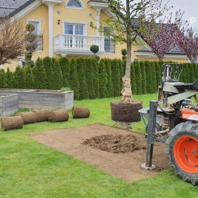 Zasaditev Dreves Ena